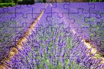 OK jigsaw puzzle