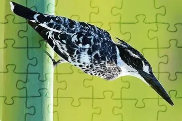 natural jigsaw puzzle