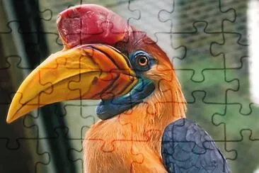 natural jigsaw puzzle