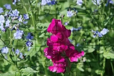OK jigsaw puzzle