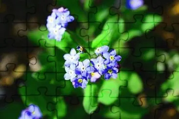 OK jigsaw puzzle