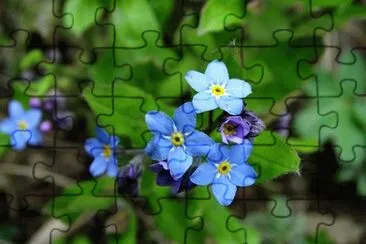 OK jigsaw puzzle