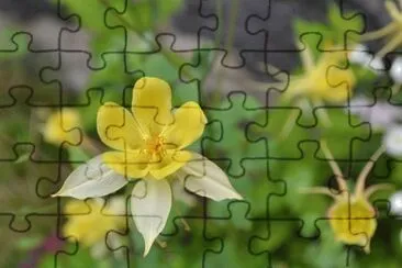 OK jigsaw puzzle