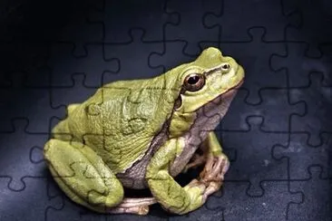 Imagem jigsaw puzzle