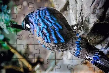 natural jigsaw puzzle