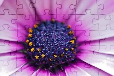 OK jigsaw puzzle