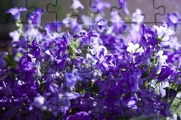 OK jigsaw puzzle