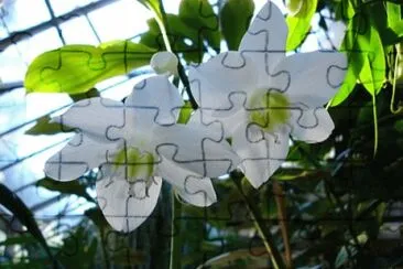 OK jigsaw puzzle