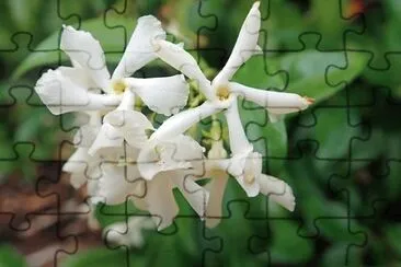 OK jigsaw puzzle