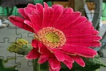 flor