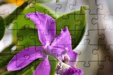 flores jigsaw puzzle