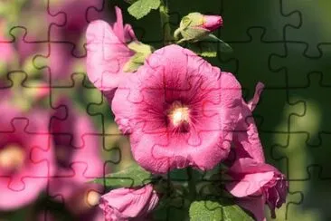OK jigsaw puzzle
