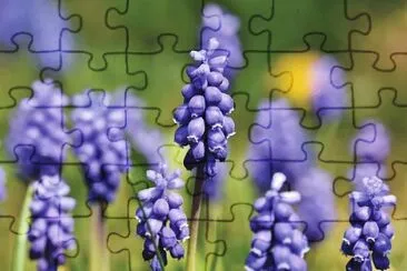 OK jigsaw puzzle