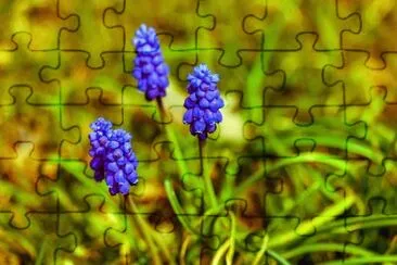 OK jigsaw puzzle
