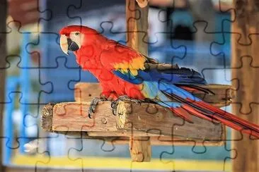 natural jigsaw puzzle