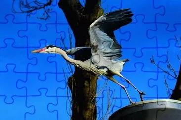 Imagem jigsaw puzzle
