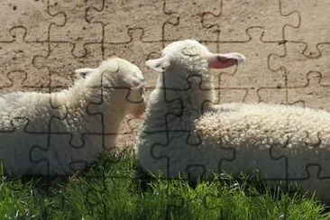 Imagem jigsaw puzzle