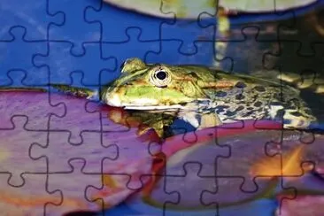 Imagem jigsaw puzzle