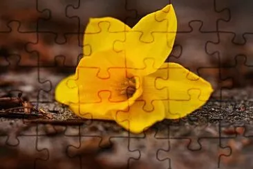 OK jigsaw puzzle