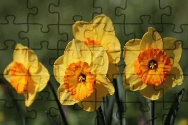 OK jigsaw puzzle