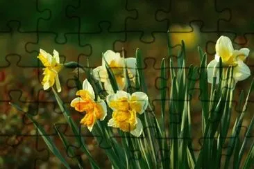 OK jigsaw puzzle