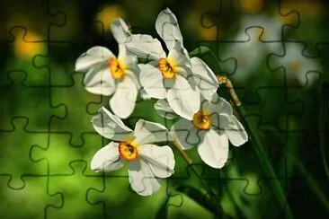 OK jigsaw puzzle