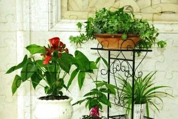 imagem jigsaw puzzle