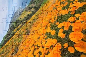 flores jigsaw puzzle