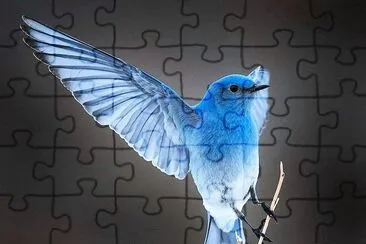 natural jigsaw puzzle