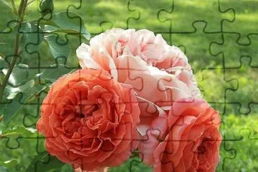 flores jigsaw puzzle