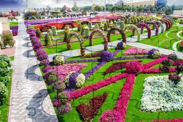Dubai jigsaw puzzle