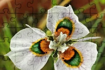 flores jigsaw puzzle