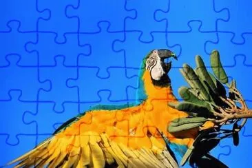 natural jigsaw puzzle