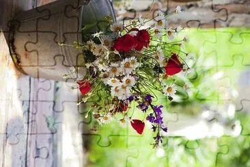 flores