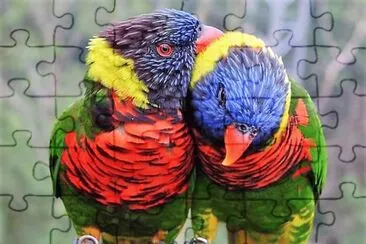 natural jigsaw puzzle