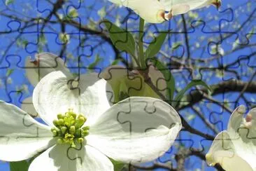 Imagem jigsaw puzzle
