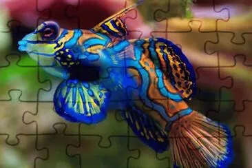 Imagem jigsaw puzzle