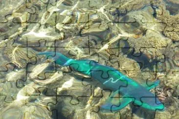 Imagem jigsaw puzzle