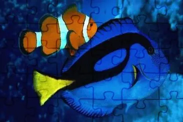Imagem jigsaw puzzle