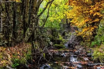 PAISAJE jigsaw puzzle