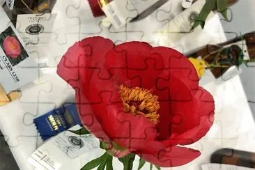 flores