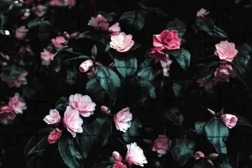 flores jigsaw puzzle