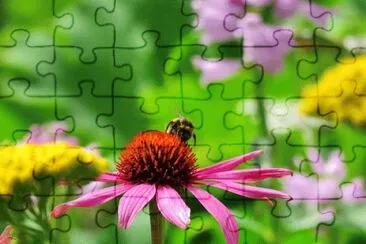 Imagem jigsaw puzzle
