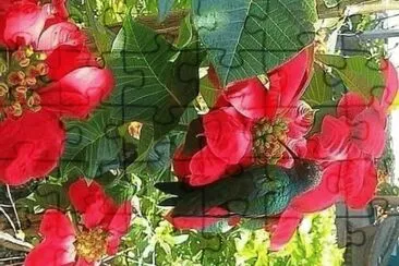 flores jigsaw puzzle