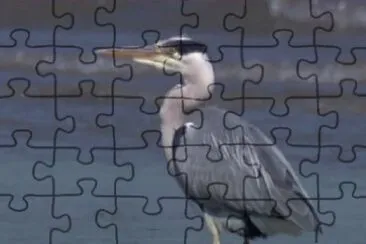 Imagem jigsaw puzzle