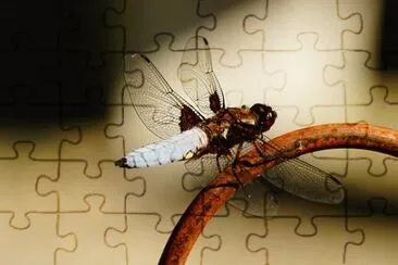 Imagem jigsaw puzzle