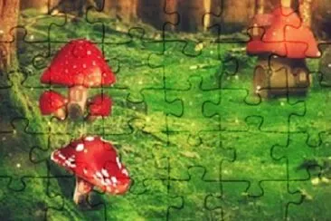 Imagem jigsaw puzzle