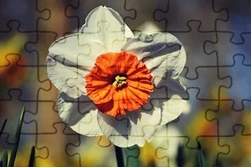 Imagem jigsaw puzzle