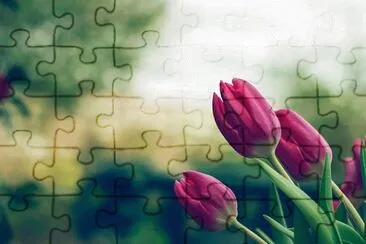 Imagem jigsaw puzzle
