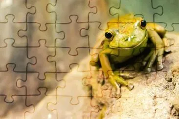 Imagem jigsaw puzzle